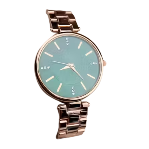 Elegant Green Dial Diamond Studded Women's Analog Watch